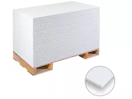 Rigips 1-Mann-Platte Compact 12,5