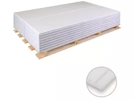 Rigips Die Dicke RF 20