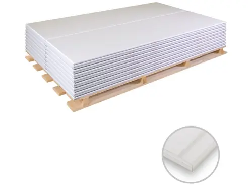 Rigips Die Dicke RF 20